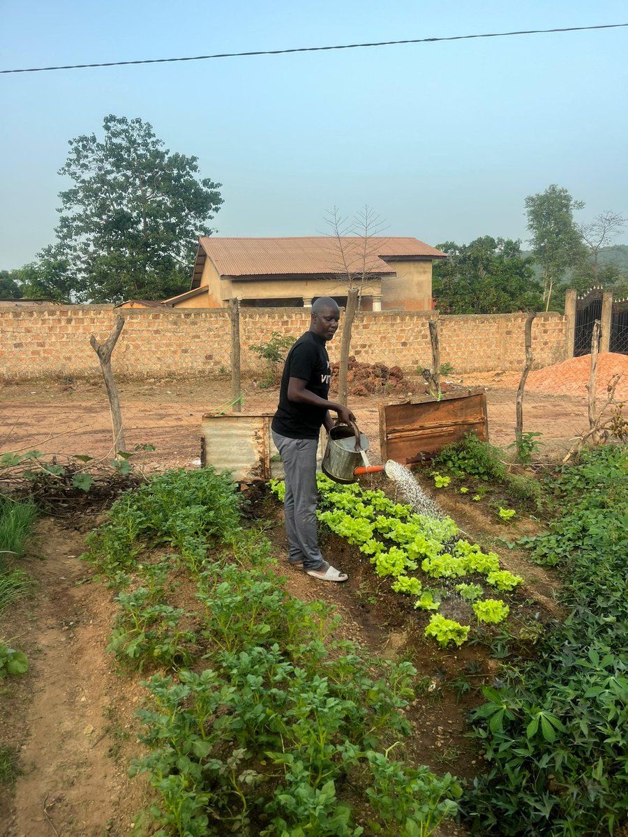 BahMama46357540's tweet photo. L'agriculture est cruciale pour la Guinée ! Sécurité alimentaire_: l'agriculture permet de nourrir la population et de réduire la dépendance aux importations.
_Emploi: c'est un secteur clé pour l'emploi, surtout en milieu rural.
_Développement économique @bahourykigna https://t.co/vKqHC2Umht