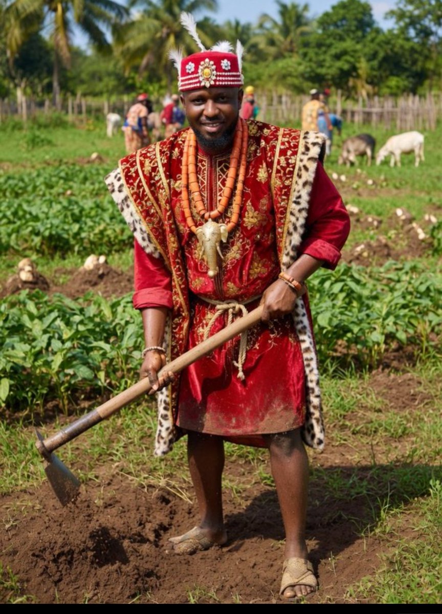 Seigfried.A.N tweet media