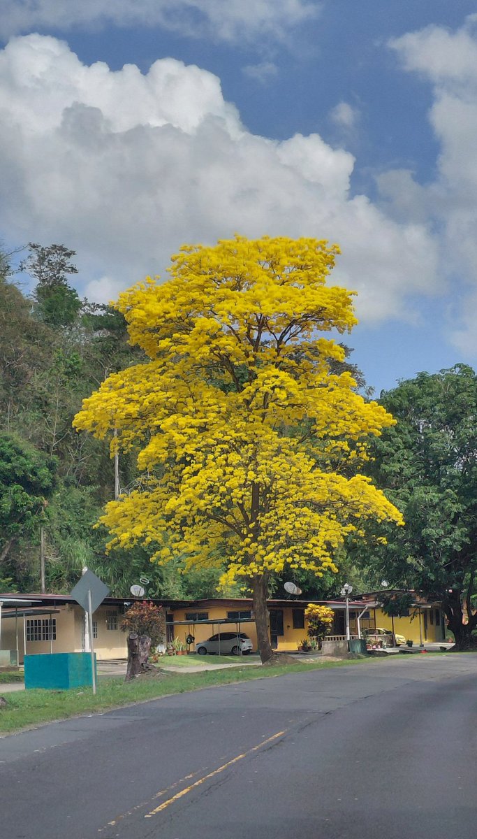 ๐๐๐ง๐๐๐ฃ ๐น๐๐ฅ๐๐ค๐ฅ๐ tweet media