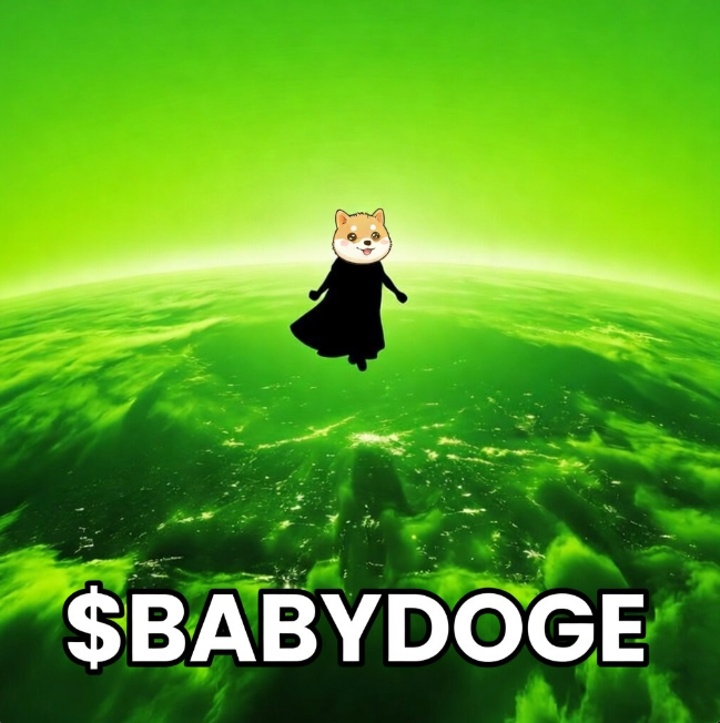 $BABYDOGE Community 👶🐶 tweet media