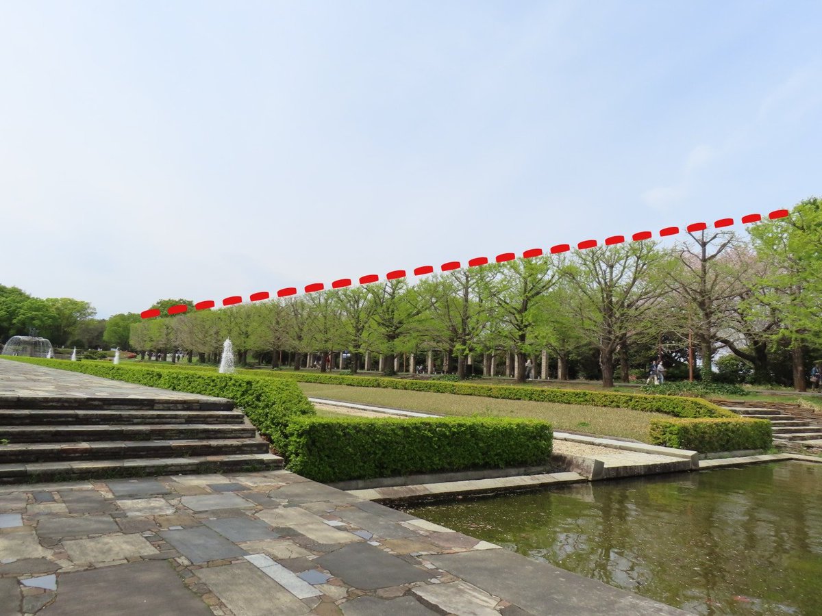 #昭和記念公園
イチョウの並木が『すぱぁっ〜〜』🤭