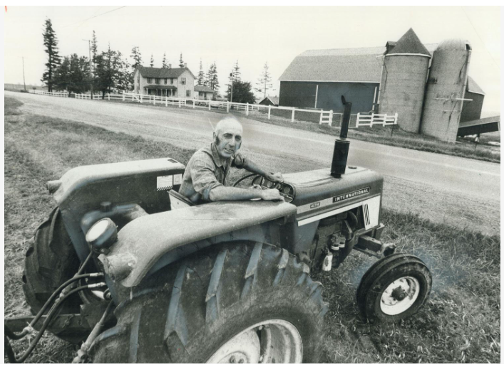 The most-improved farm in the 945 square miles of Durham Region - the Holstein operation owned by Clifford Redman of Scugog Island - 1975 -digitalarchive.tpl.ca/objects/207258… #SaveOntarioBarns