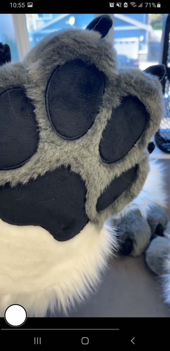 ✧TEAK✧🔜Furlandia tweet media