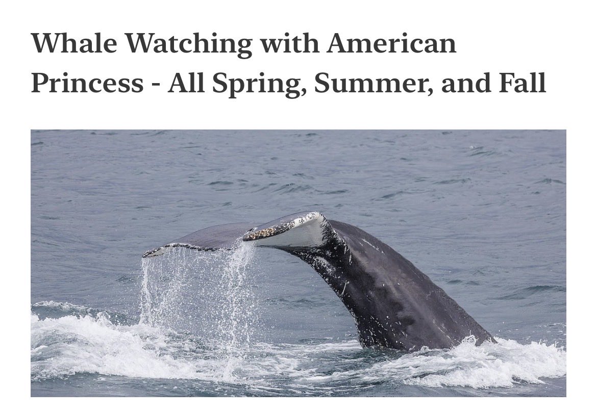 Russell 🐟 tweet media