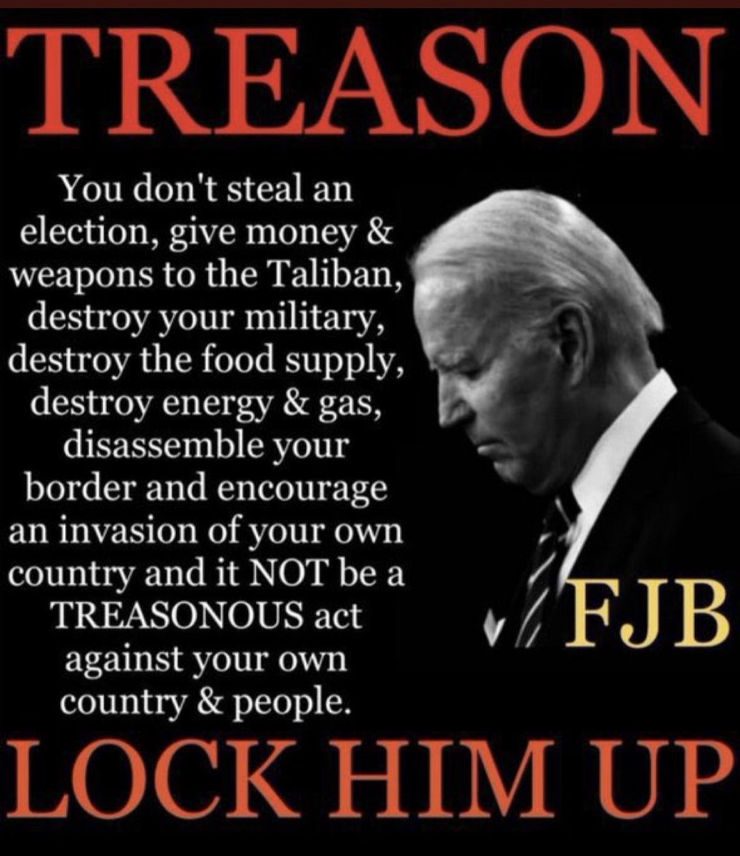 Rolo(the Cyber-Repre) tweet media