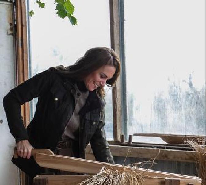 Adline Murunga tweet media