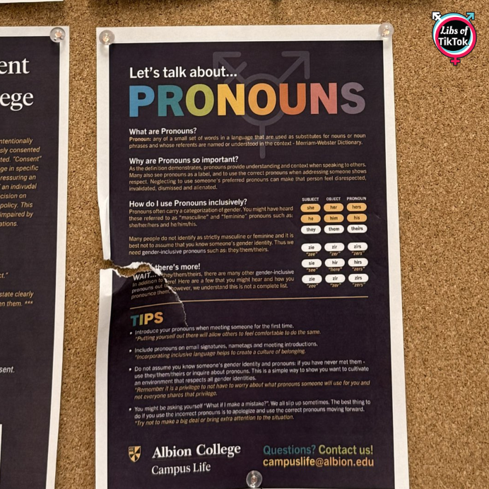 Libs of TikTok tweet media