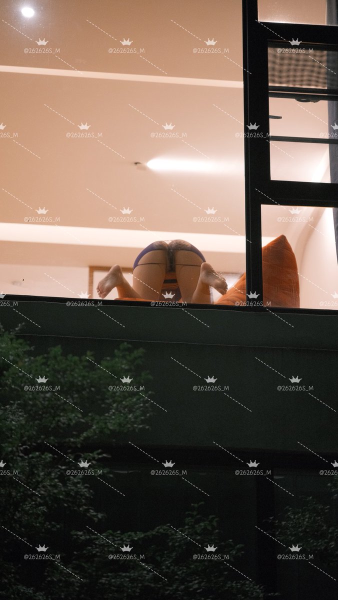 陈年馋猫 tweet media