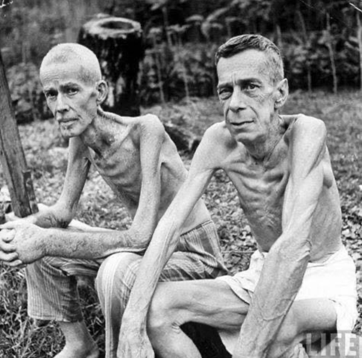 Military Support tweet media