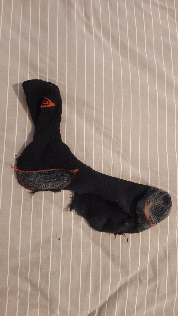 Samir ve Kral Zoltrix 🇹🇷 🐱👍 tweet media