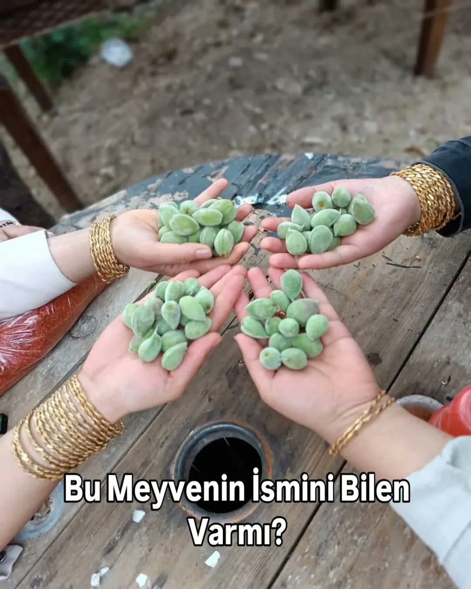 Bitlisliler tweet media