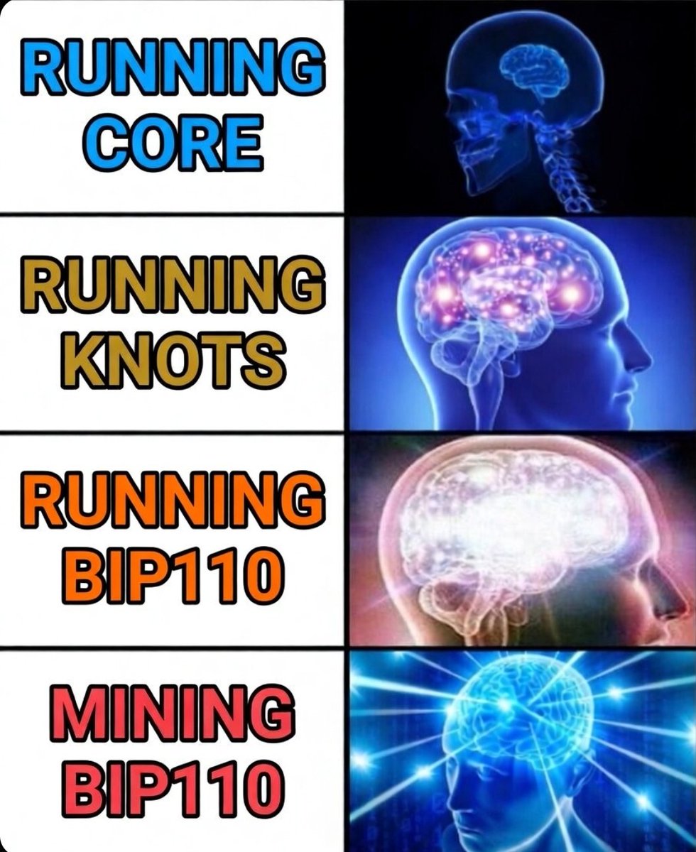 Motorist ┃ 🪢BIP110 tweet media