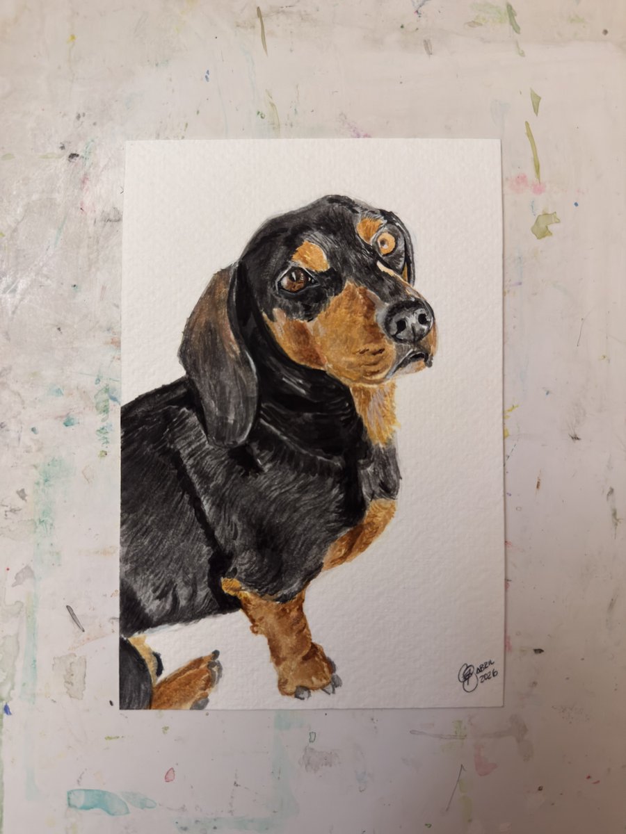 HOLA, SI QUIEREN PINTURITAS DE SUS MASCOTAS, ESTOY A LA ORDEN ✨✨