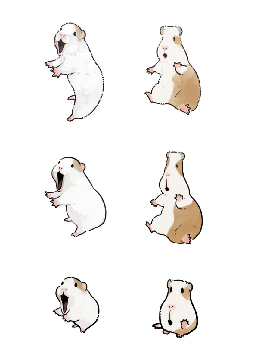 ﾊﾐにやさしく tweet media