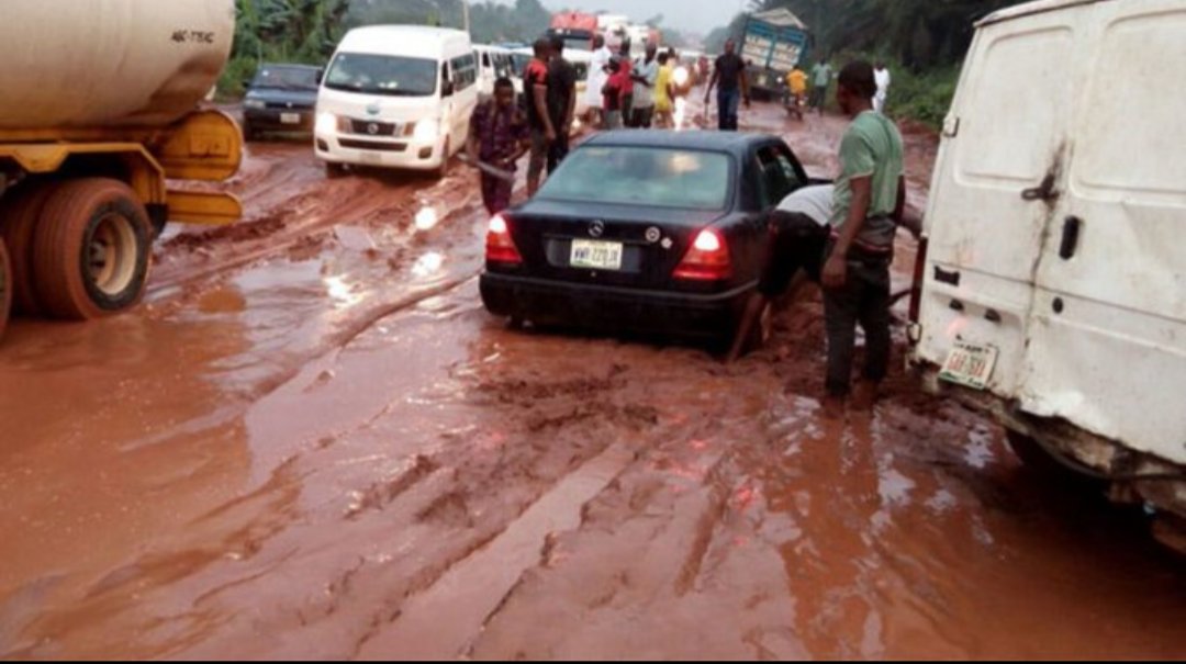 Seigfried.A.N tweet media