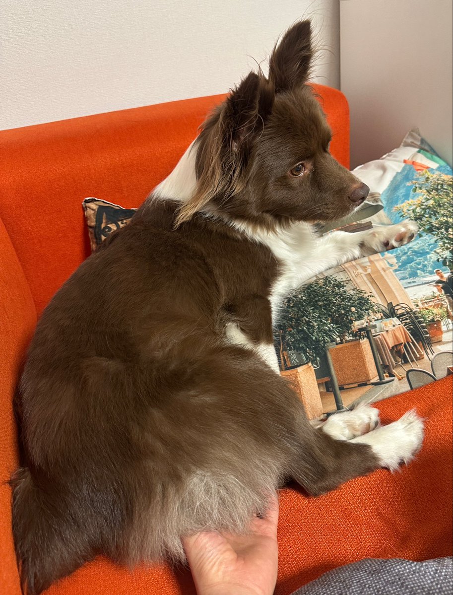 밤팅이.. tweet media