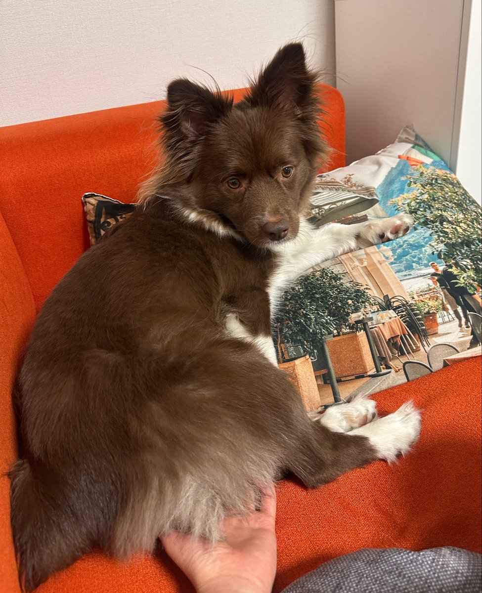 밤팅이.. tweet media