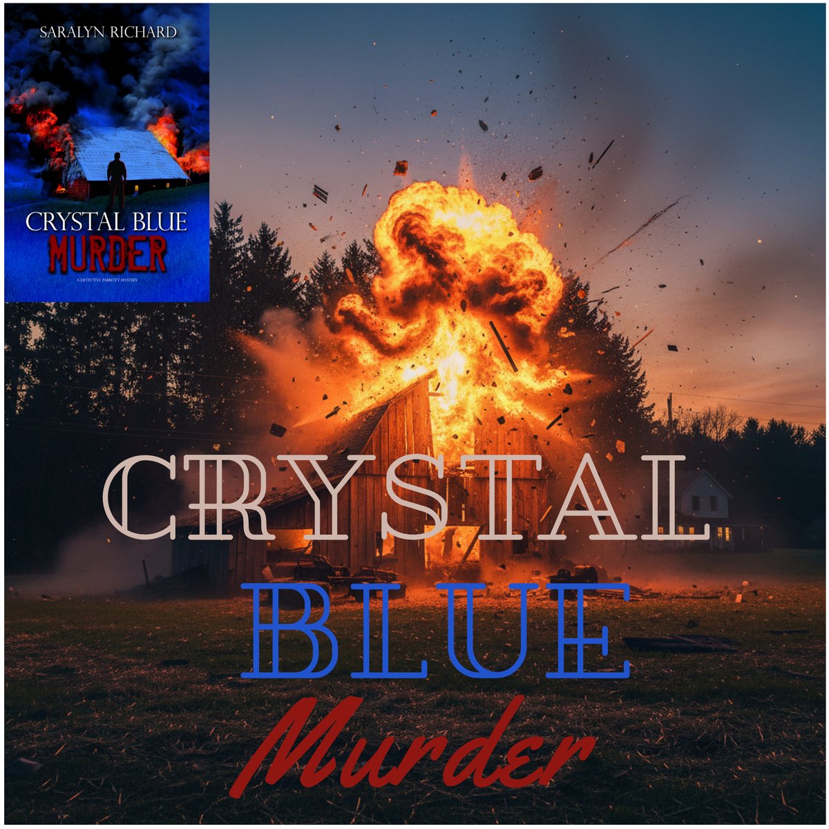 SaralynRichard's tweet image. Need a distraction? Get Detective Parrott! A procedural mystery with heart. #readers #BookDiscussion