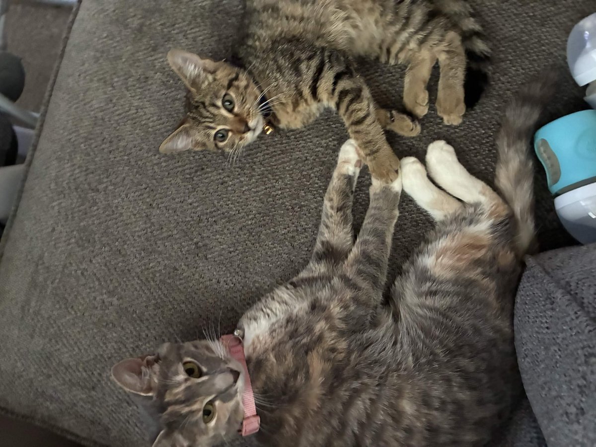 ☁️ — RUE tweet media