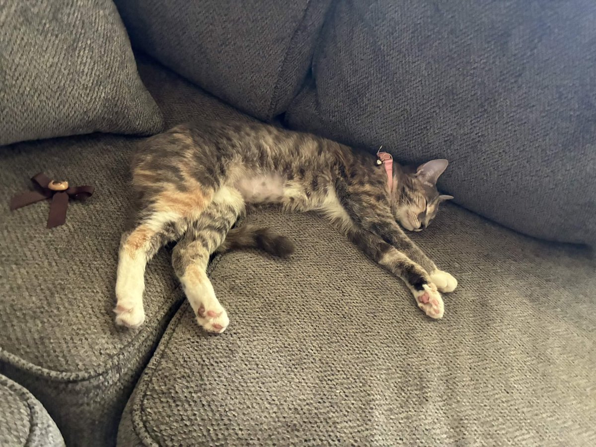 ☁️ — RUE tweet media