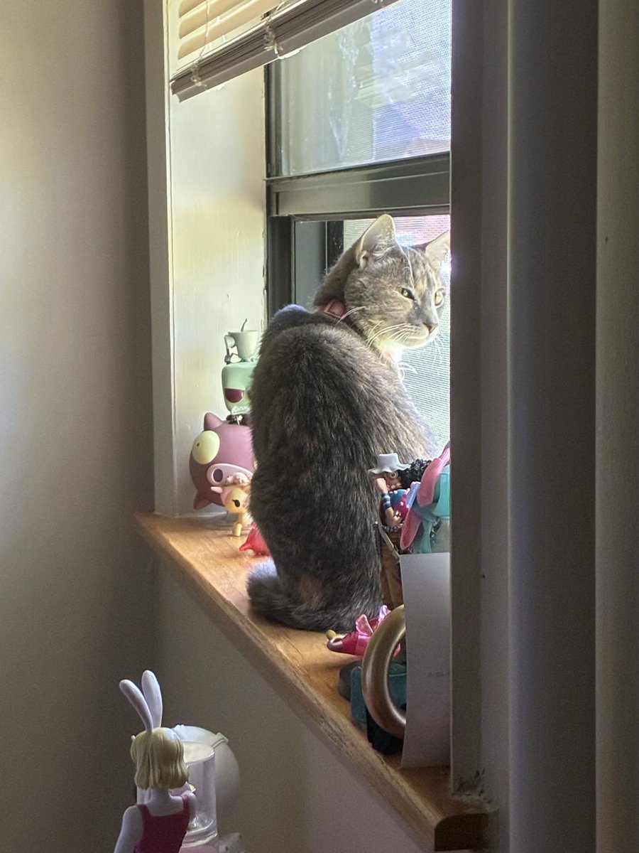 ☁️ — RUE tweet media