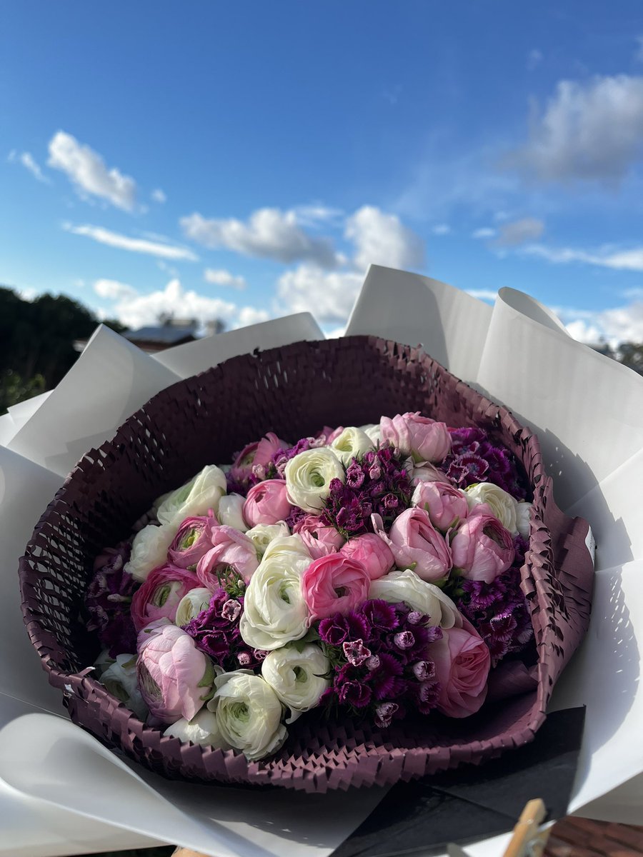 sertra lynn tweet media