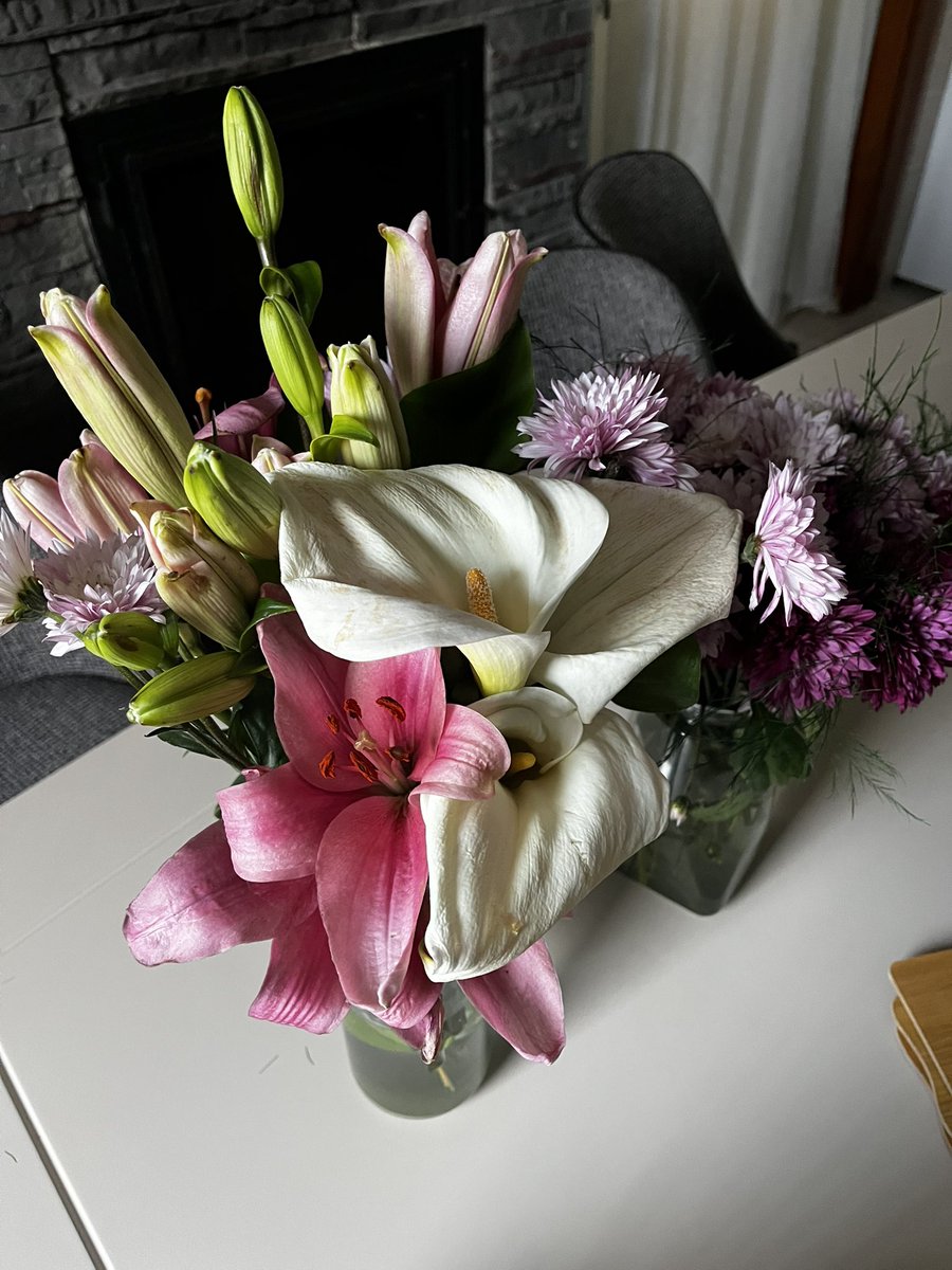 sertra lynn tweet media