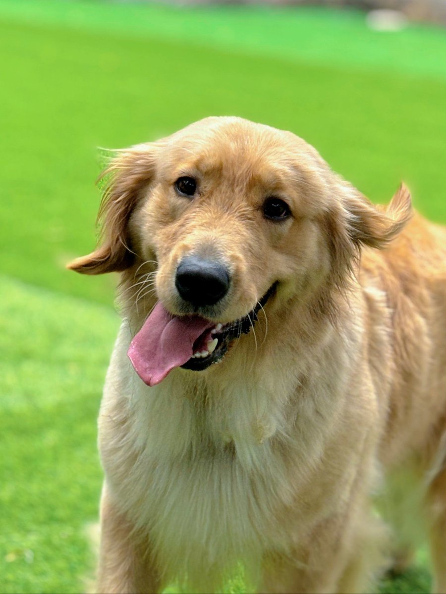 Kelly kinney tweet media