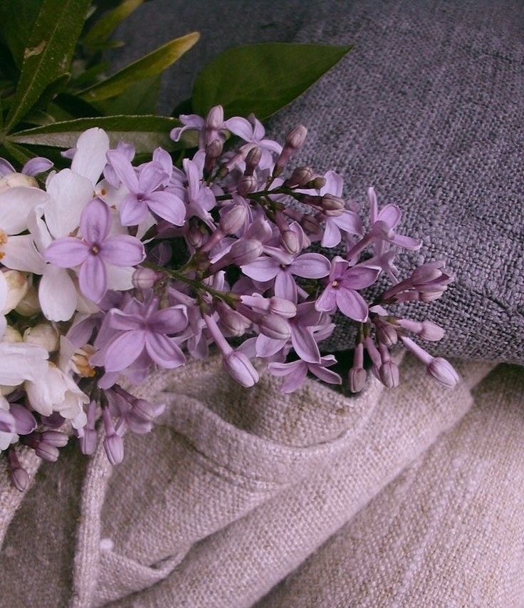 ‏ⓊⓂ ⓇⒶⒽⒶⒻ tweet media