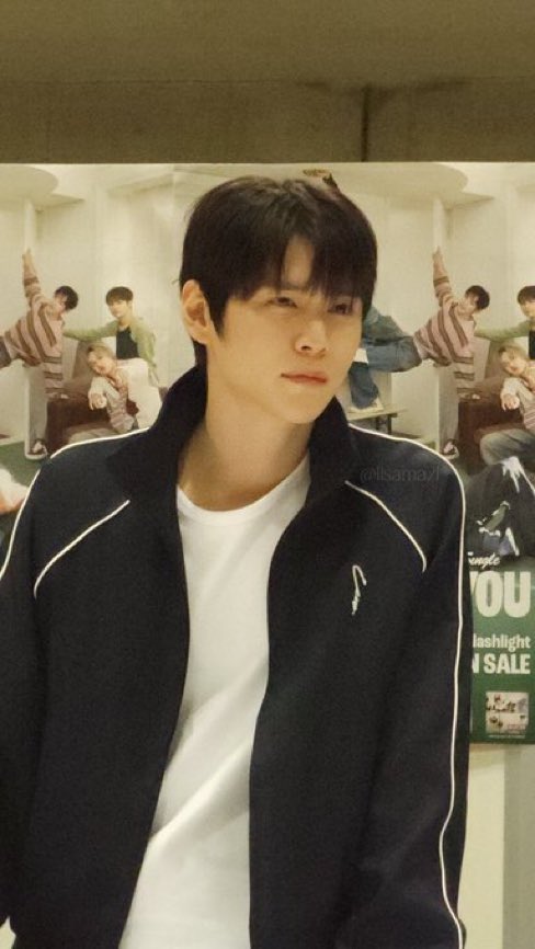 와우 섹시고양