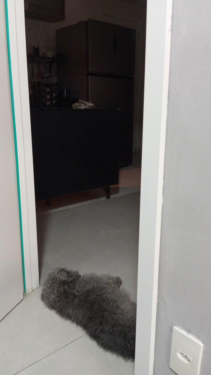 paiN gigibs marrero tweet media