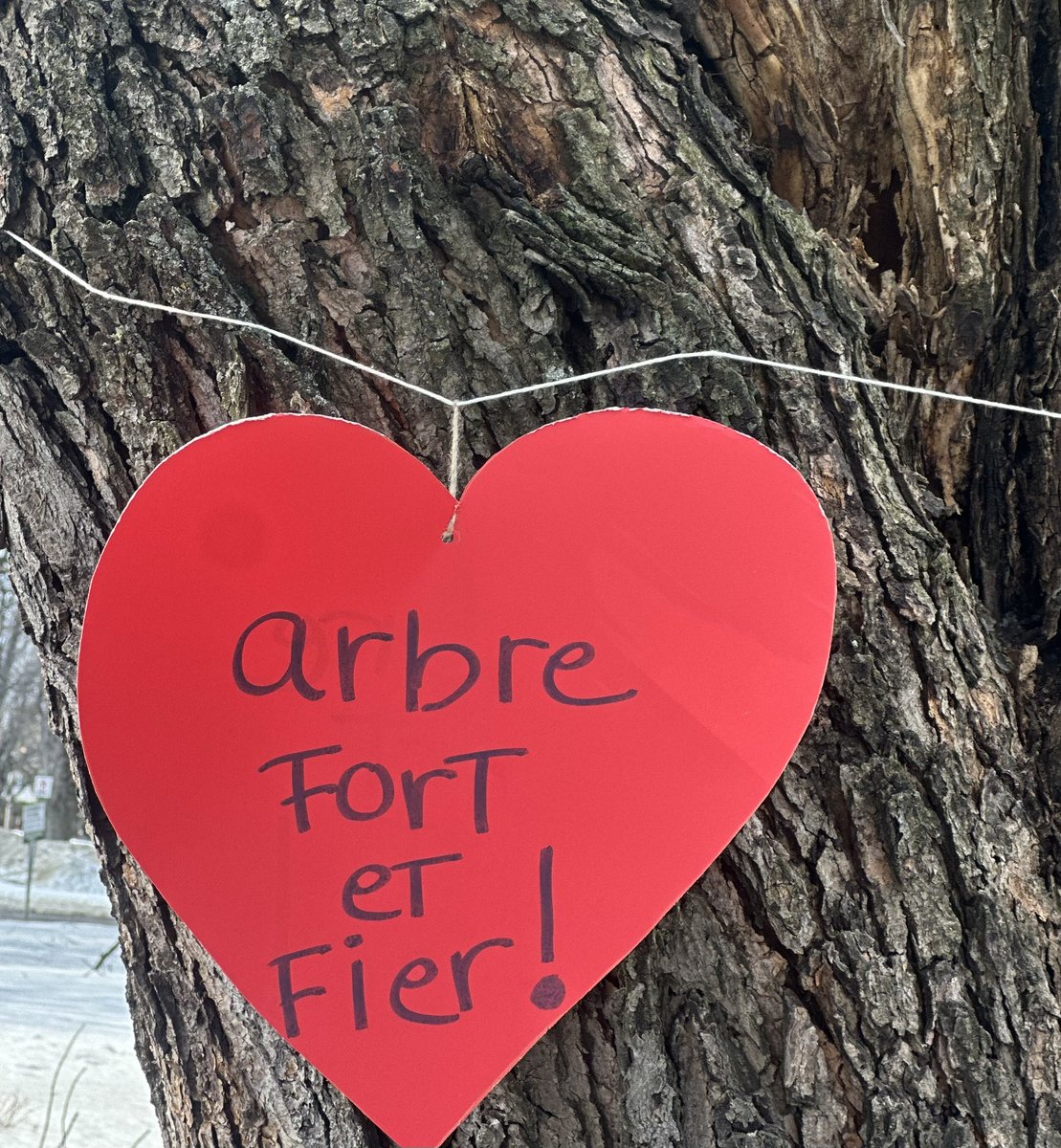 Eric Duhaime tweet media