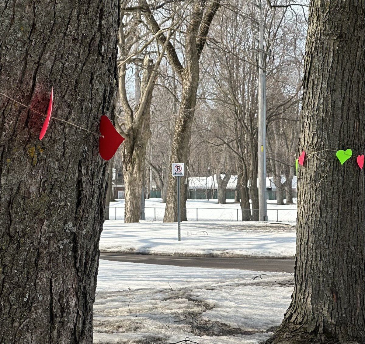 Eric Duhaime tweet media