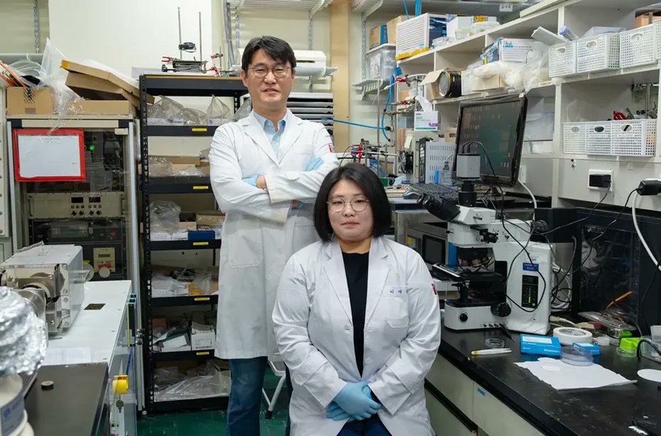 fuelcellsworks's tweet image. A new catalyst design boosts #hydrogen efficiency 

At the Gwangju Institute of Science and Technology, researchers enabled platinum to spread across the entire electrode—delivering 2.4× more active area &amp;amp; 3.2× better performance.

#HydrogenNow #CleanEnergy