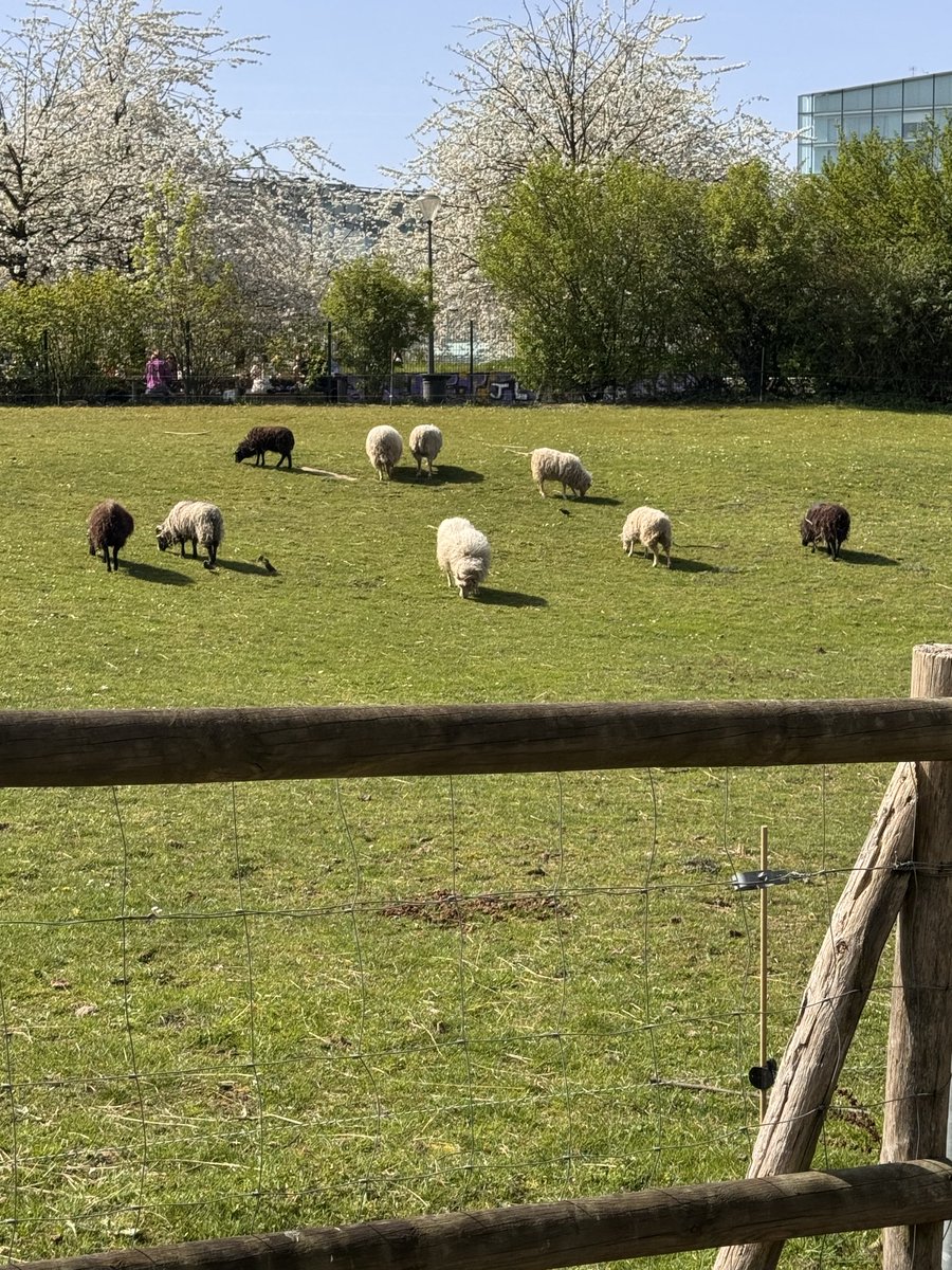 cris 59279 tweet media