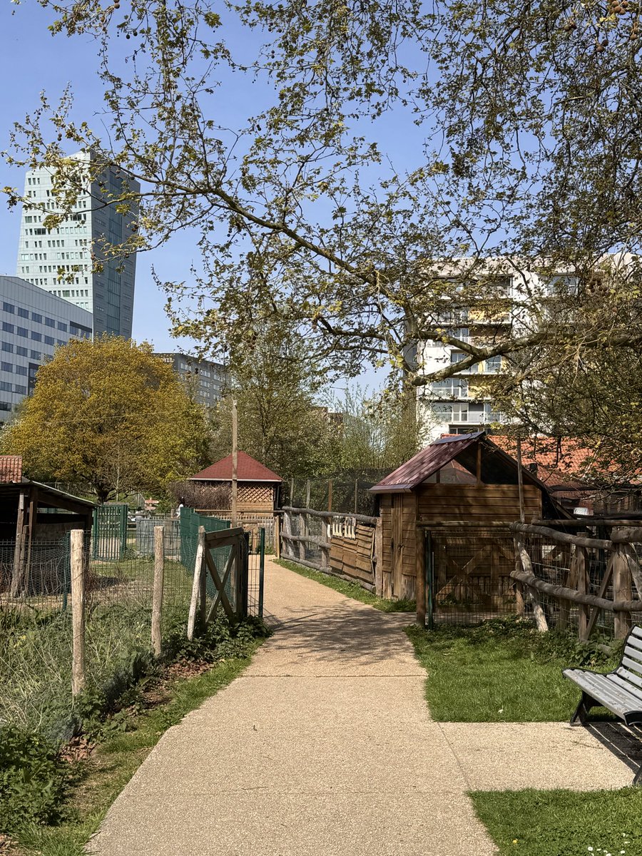 cris 59279 tweet media