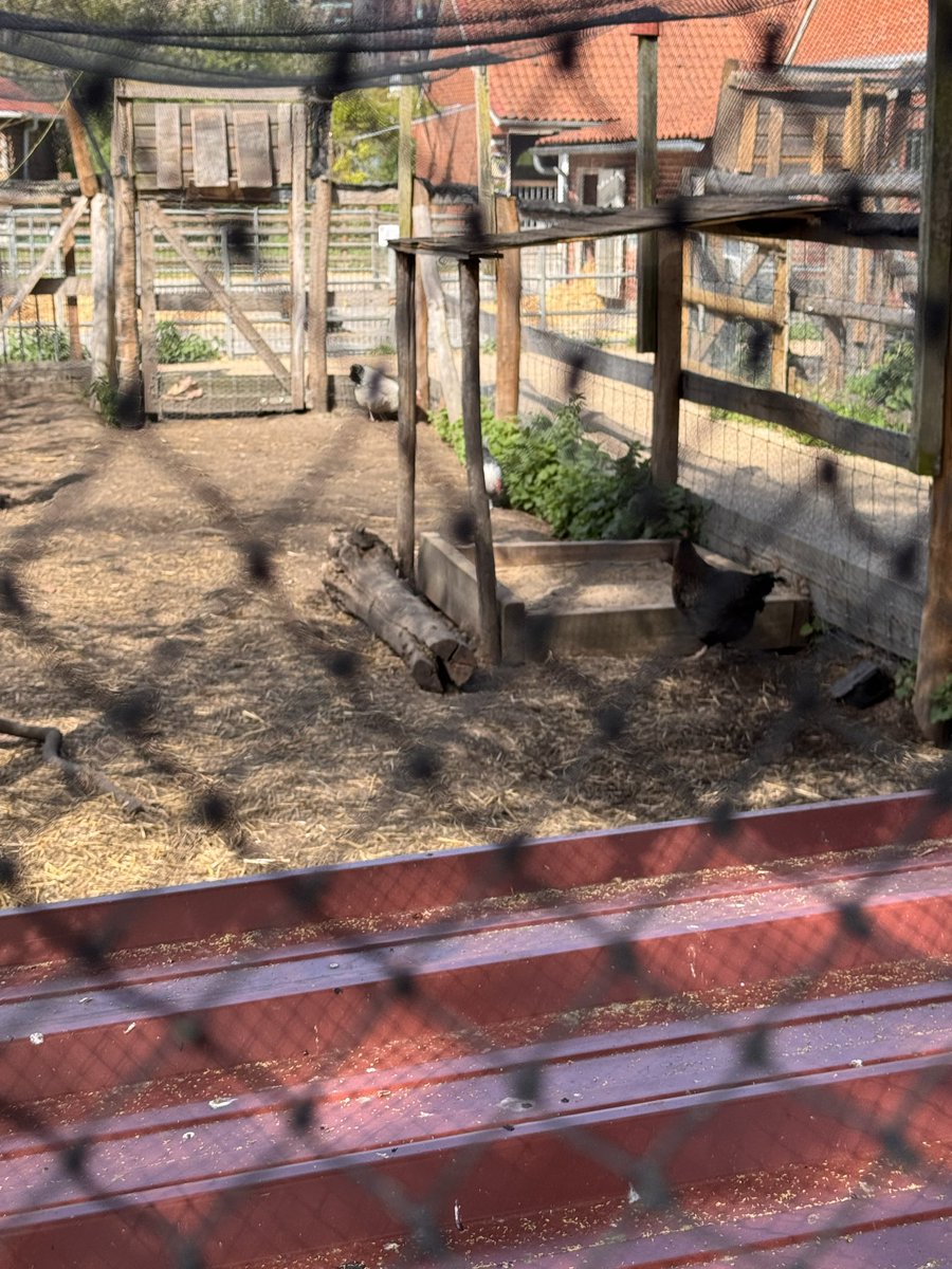 cris 59279 tweet media