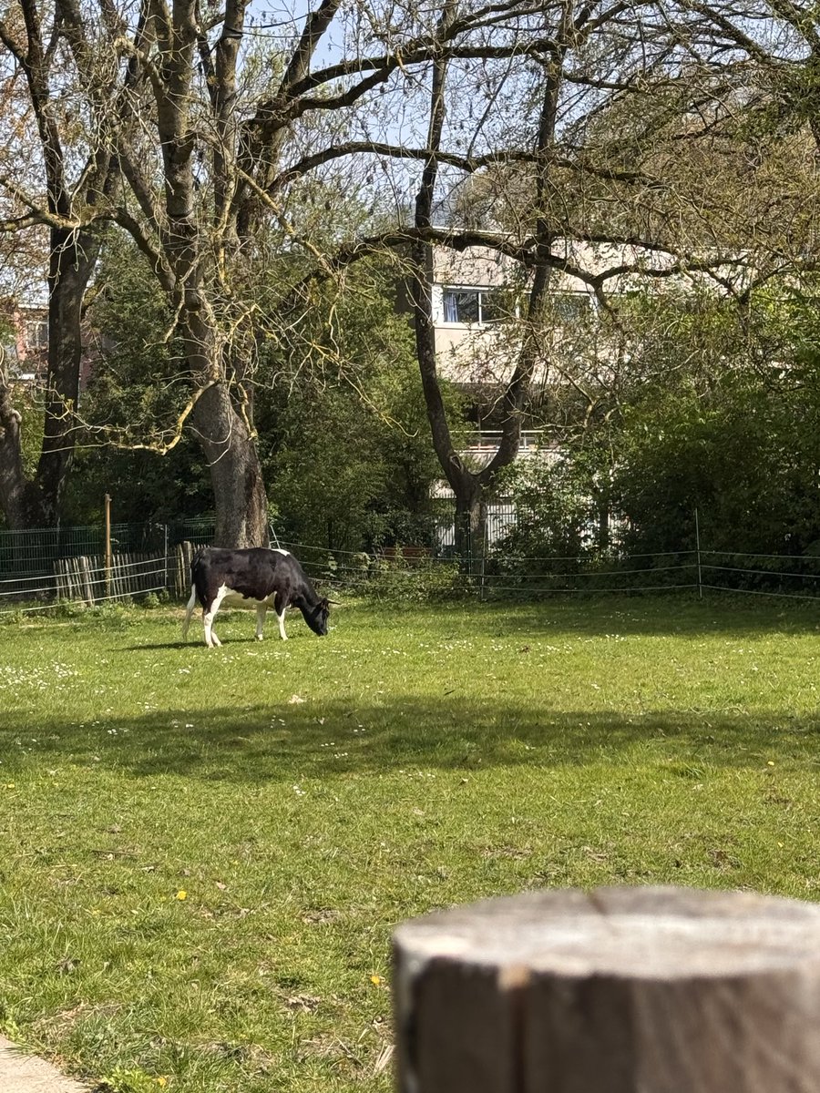 cris 59279 tweet media