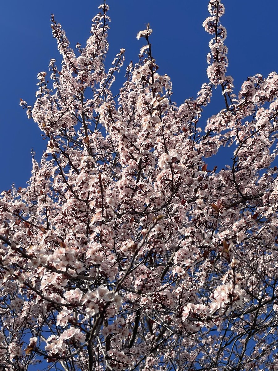 Zack 𓂀 tweet media