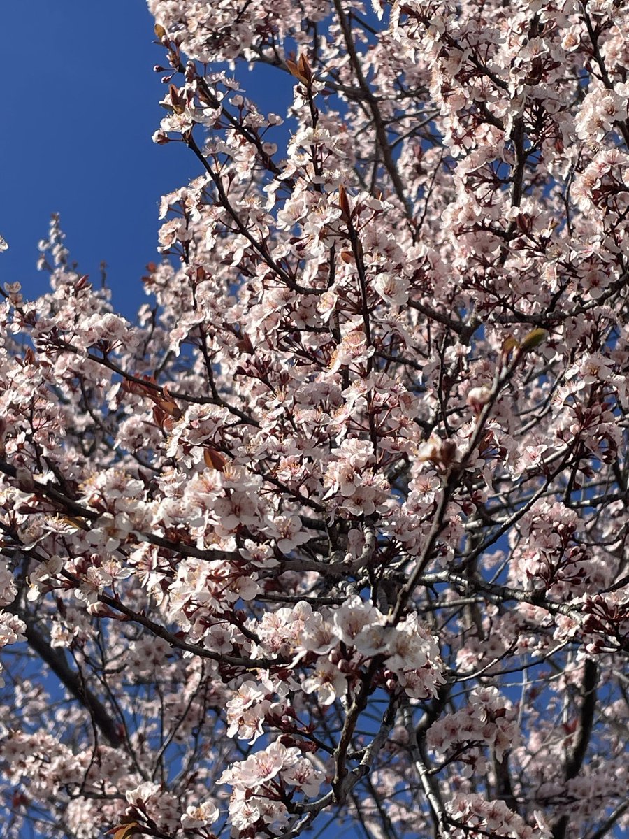 Zack 𓂀 tweet media