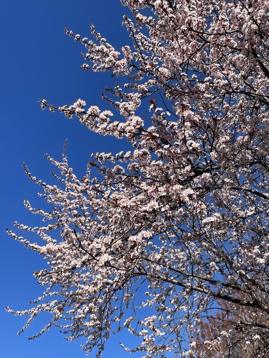 Zack 𓂀 tweet media