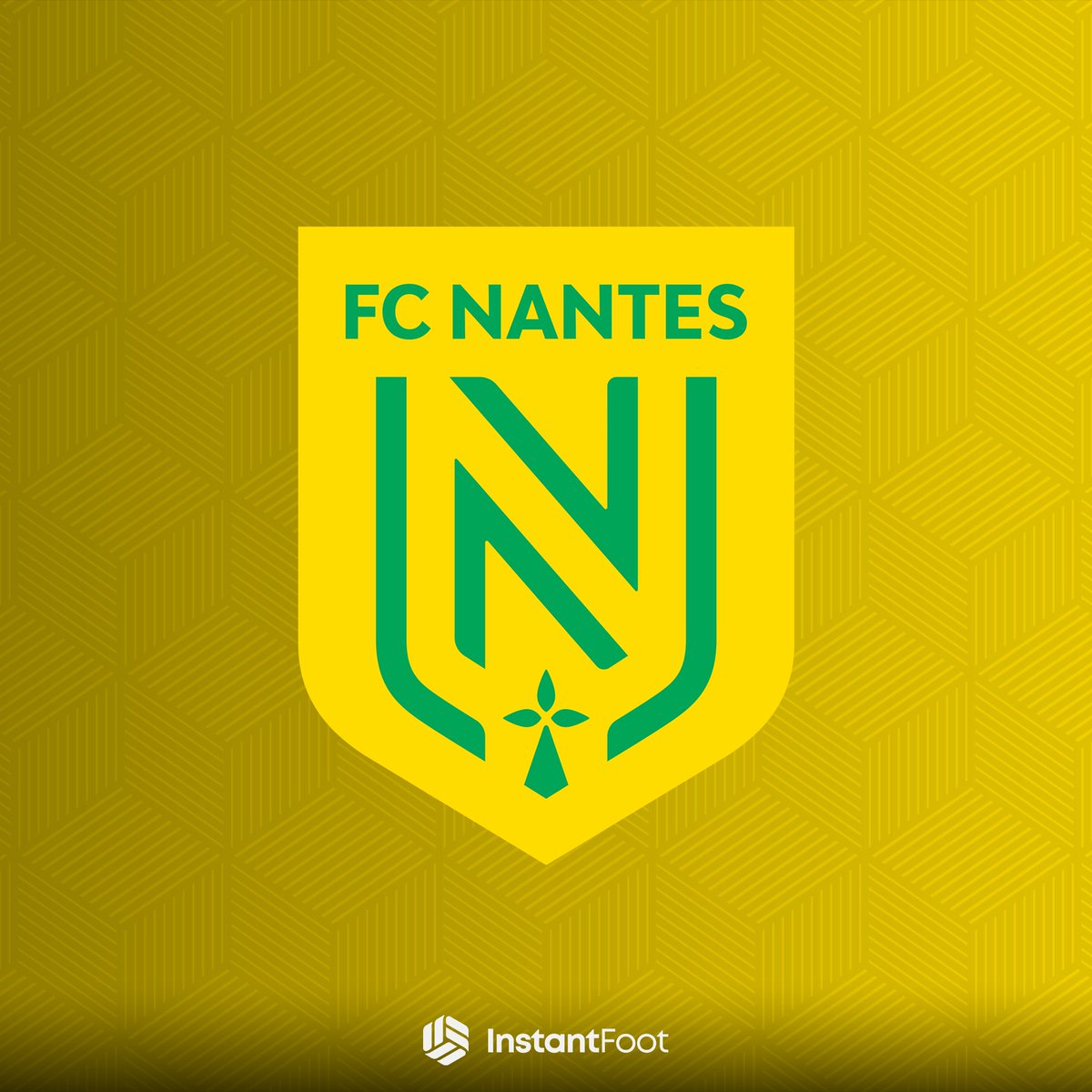 Instant Foot ⚽️ tweet media