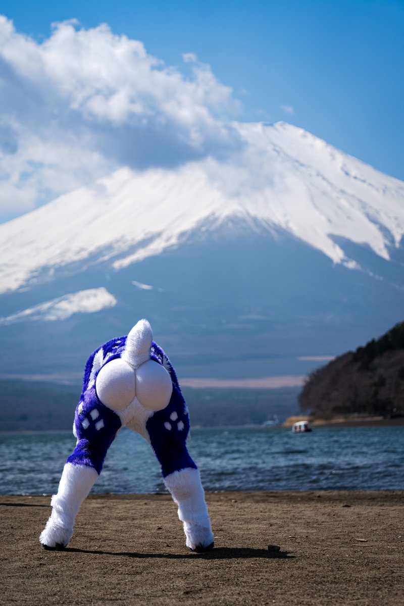 ぴろ🦌 tweet media