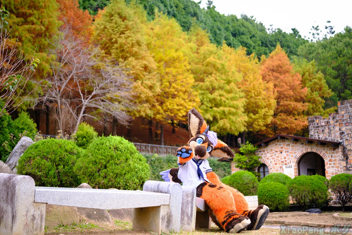 丹波( Dumbo ) & 秋葵( Fallkui ) 🔜2026？ tweet media