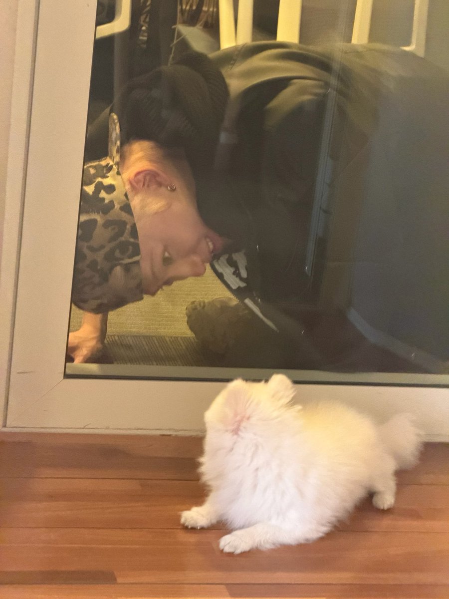 xikers(싸이커스) tweet media