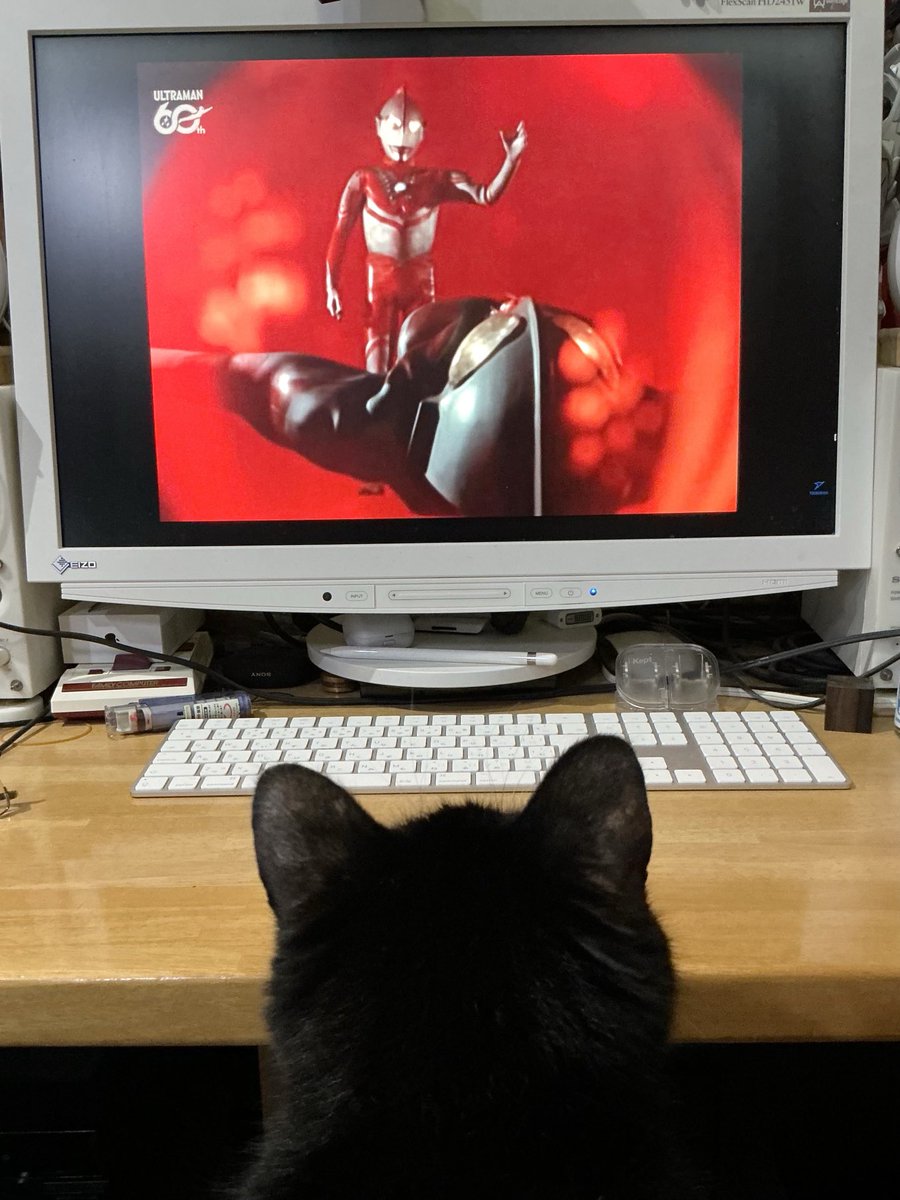 ときた洸一 tweet media