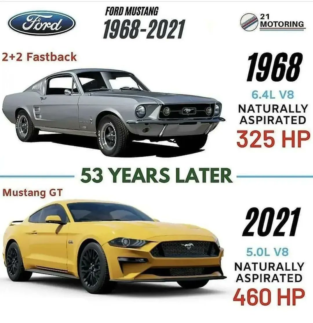 Victoria Sterling tweet media