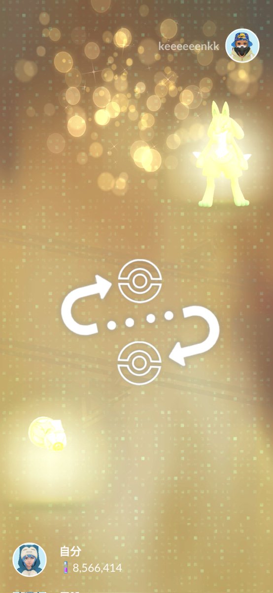 ぽむ👾@愛猫投稿bot tweet media