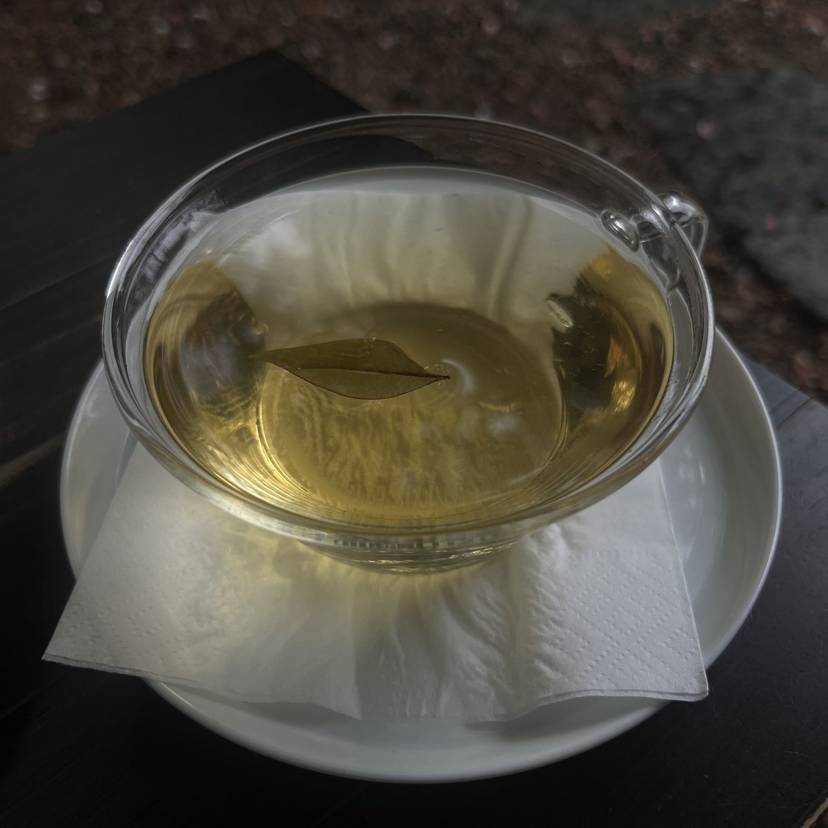 데이지 tweet media