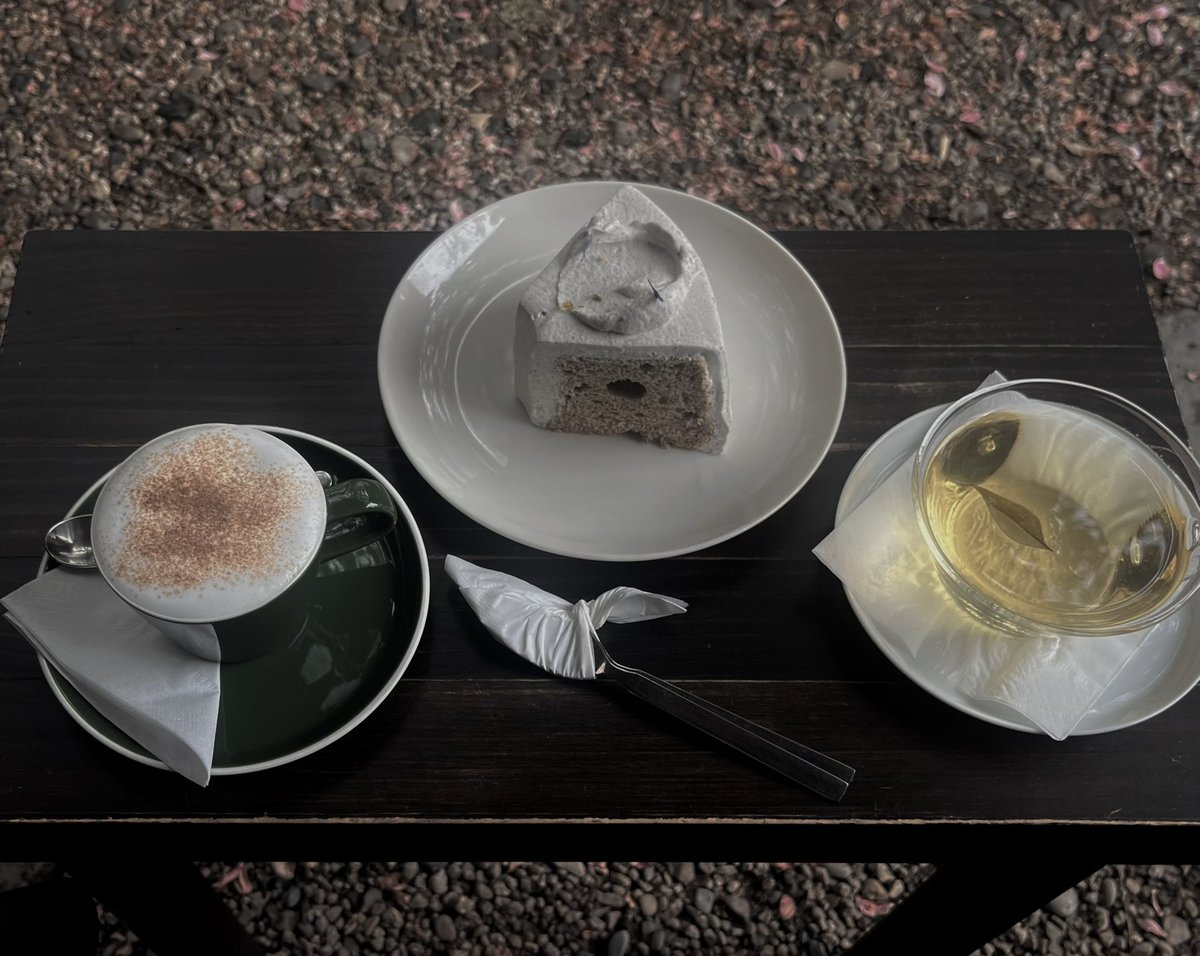 데이지 tweet media